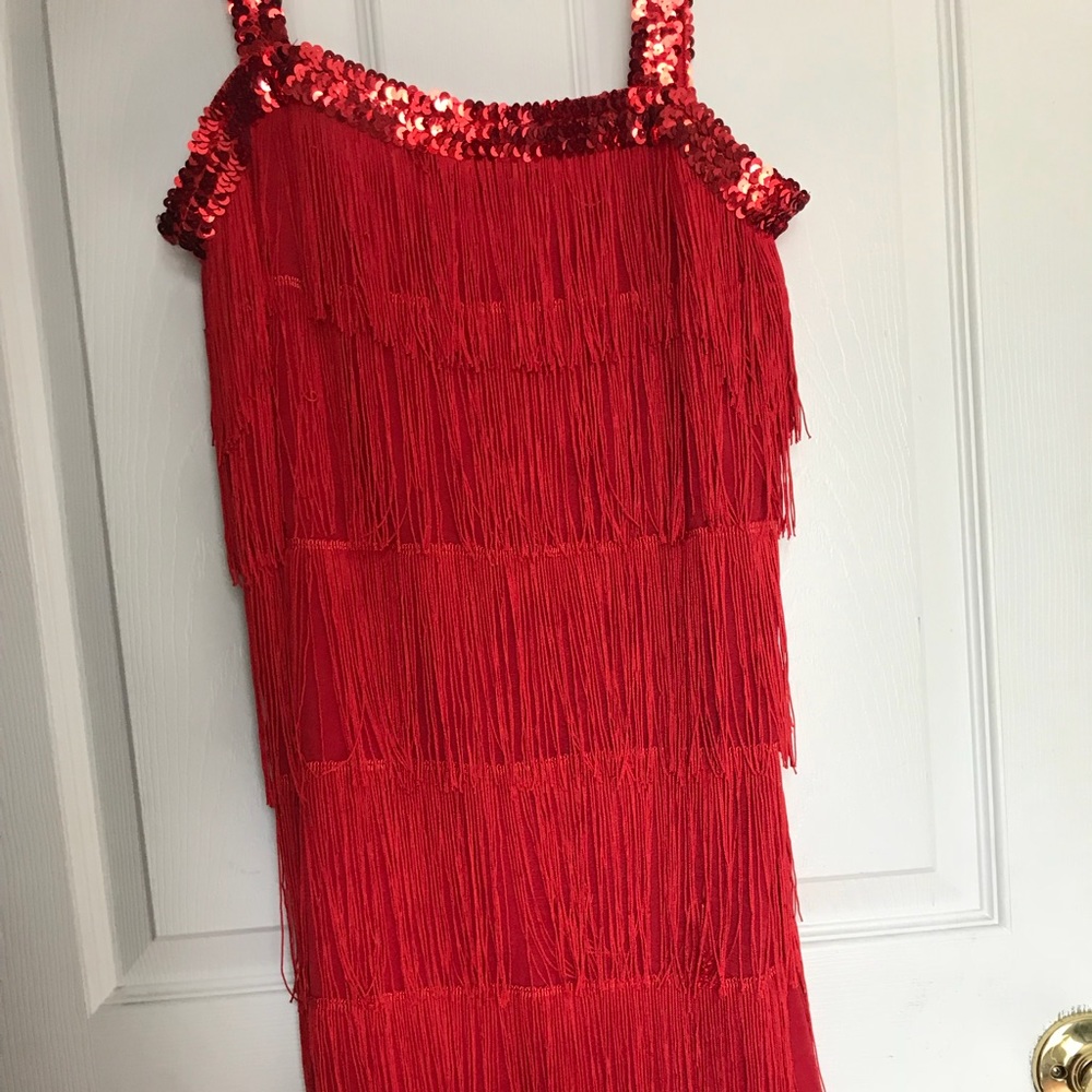 Tina Turner Fringed Red Dress*❤️❤️🔥🔥